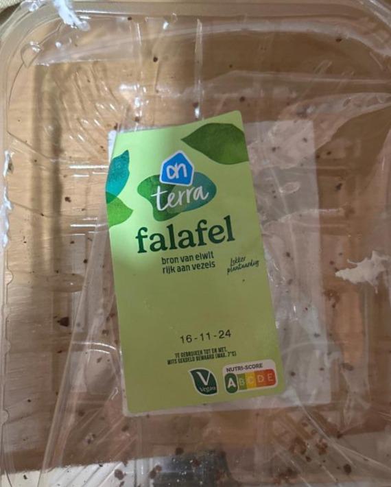 Fotografie - Falafel AH terra