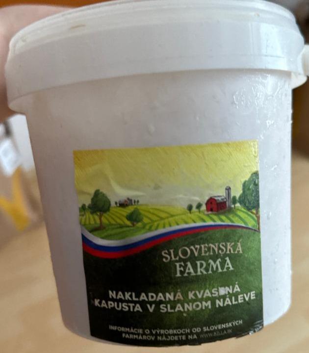 Fotografie - akladaná kvasená kapusta v slanom náleve Slovenská Farma