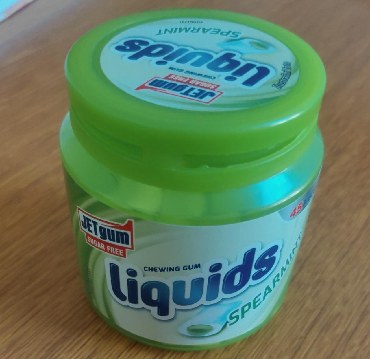 Fotografie - Liquids Spearmint JETgum