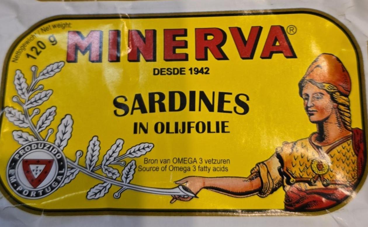 Fotografie - Sardines in olijfolie Minerva