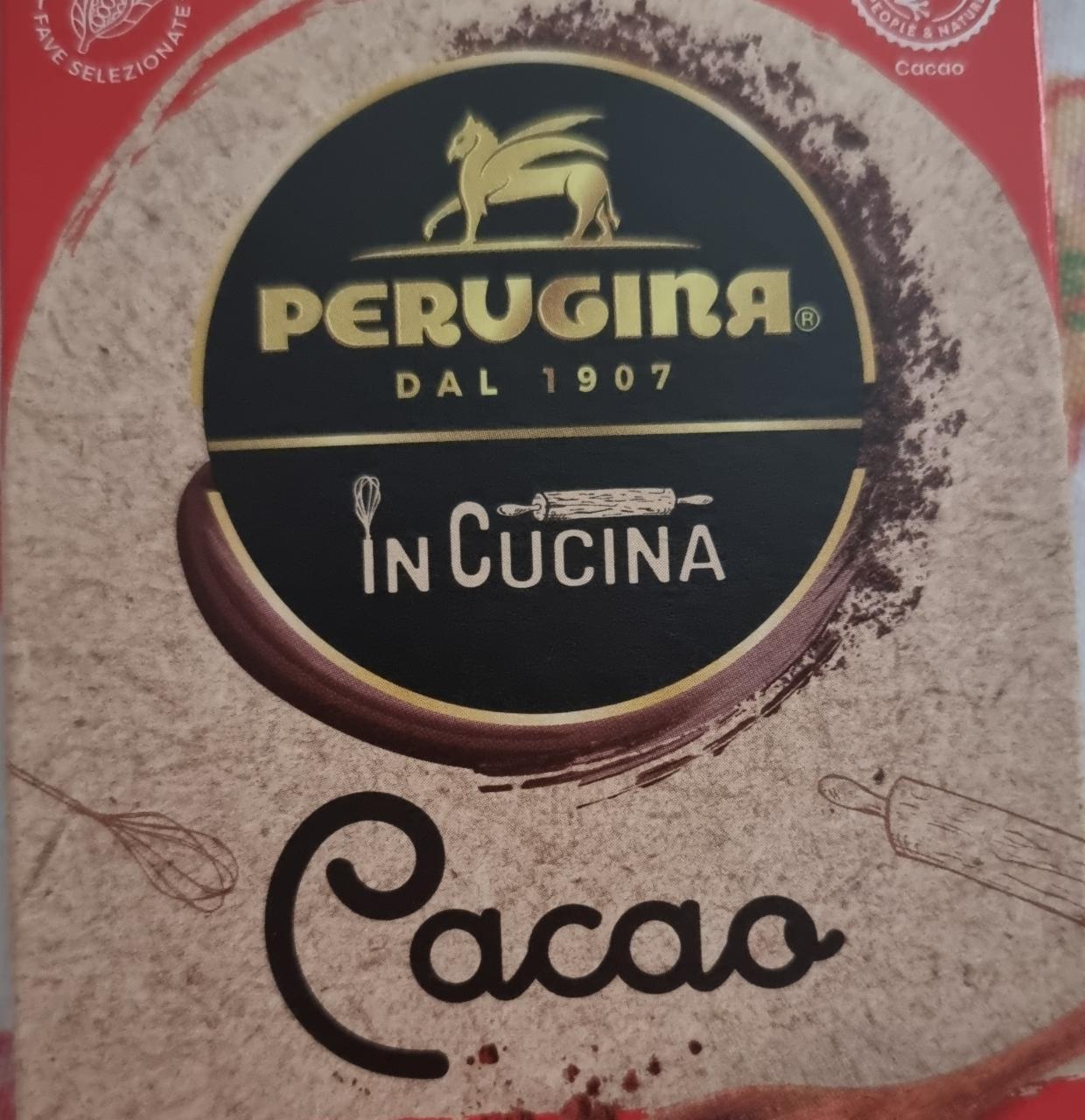 Fotografie - Cacao Perugina