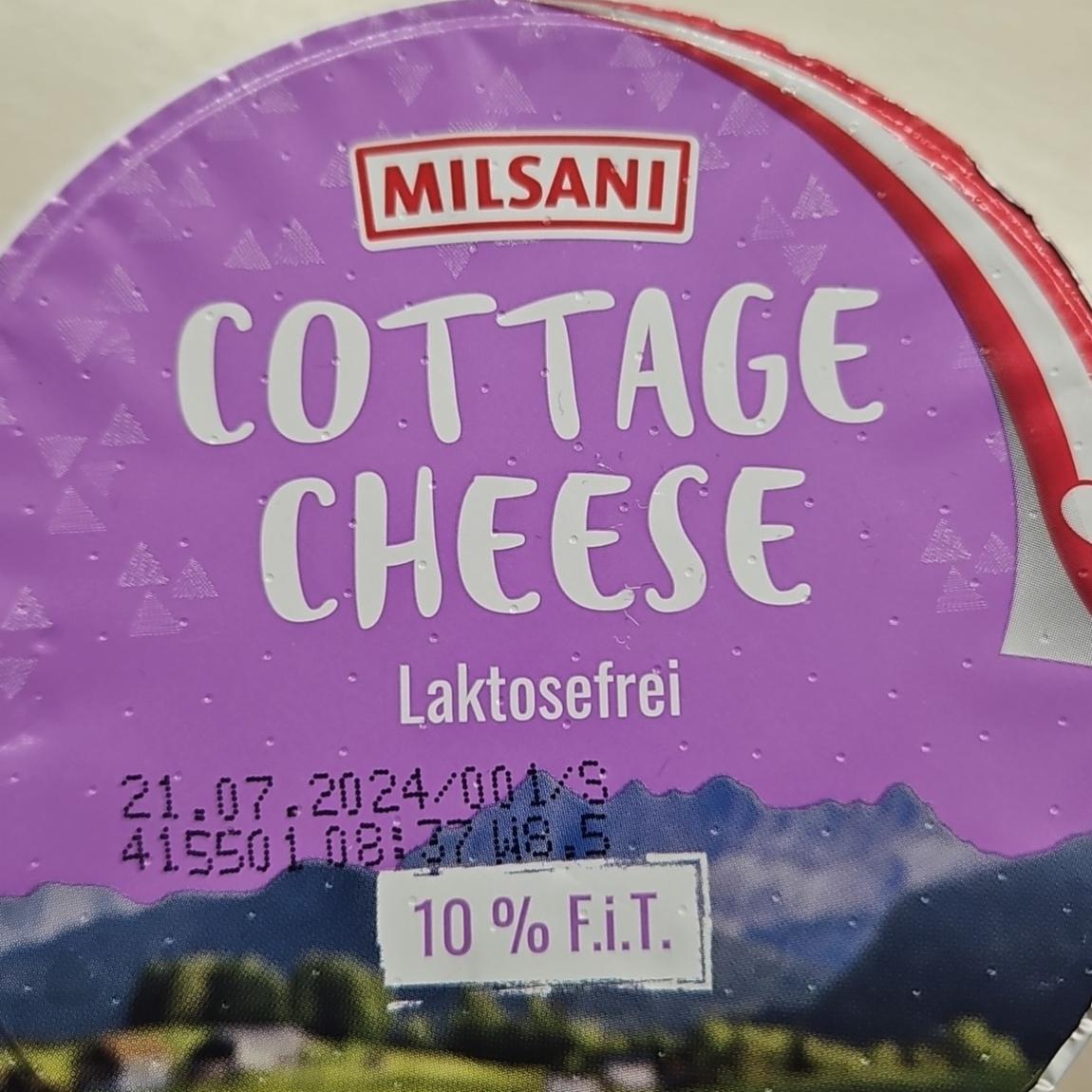Fotografie - Cottage cheese lactosefrei Milsani