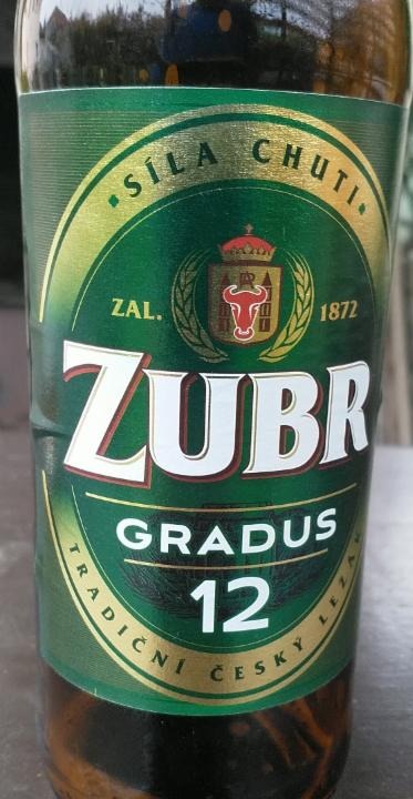 Fotografie - Zubr Gradus 12°