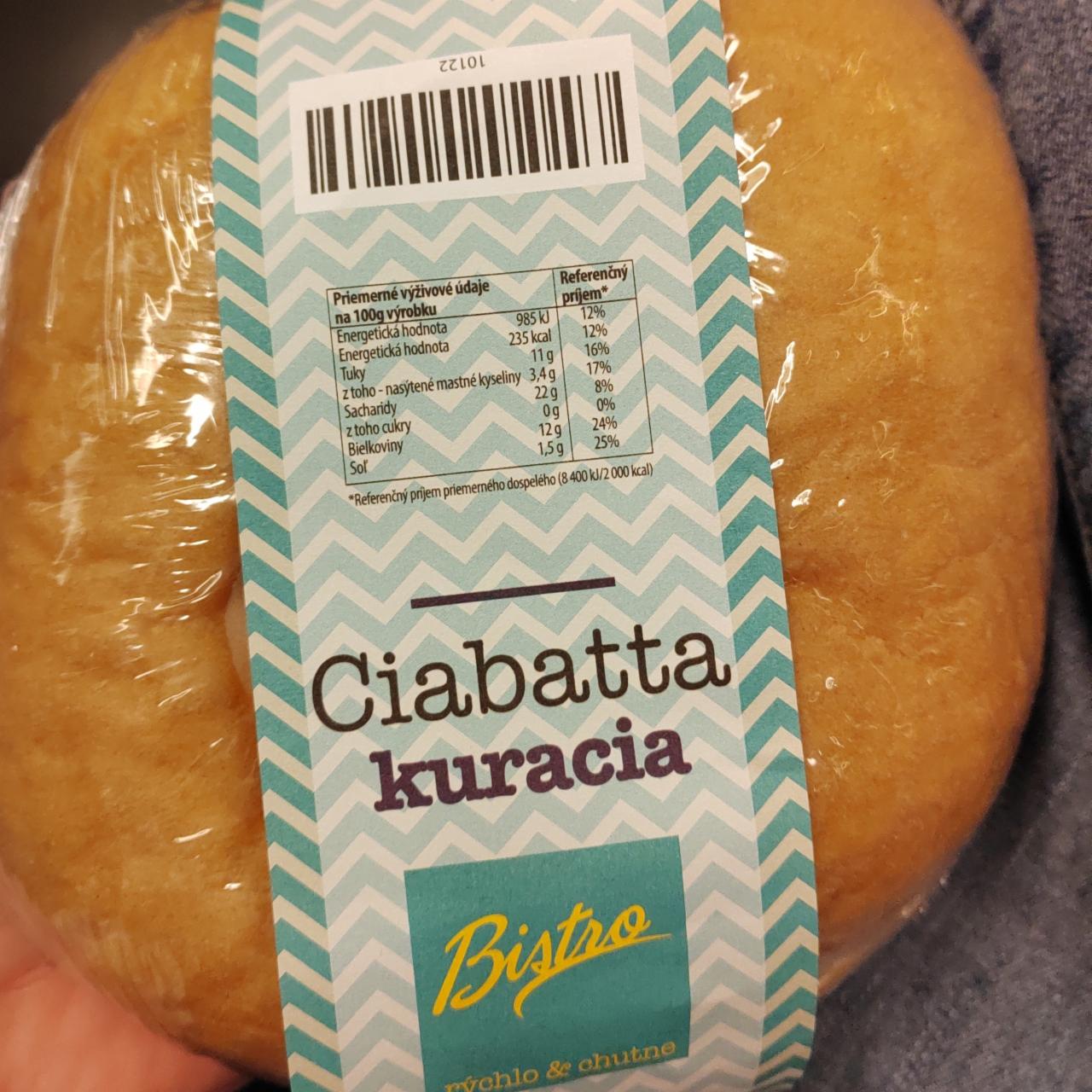 Fotografie - Ciabatta kuracia Bistro