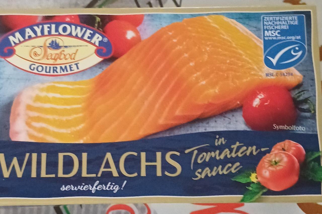 Fotografie - Wildlachs in Tomaten-sauce Mayflower