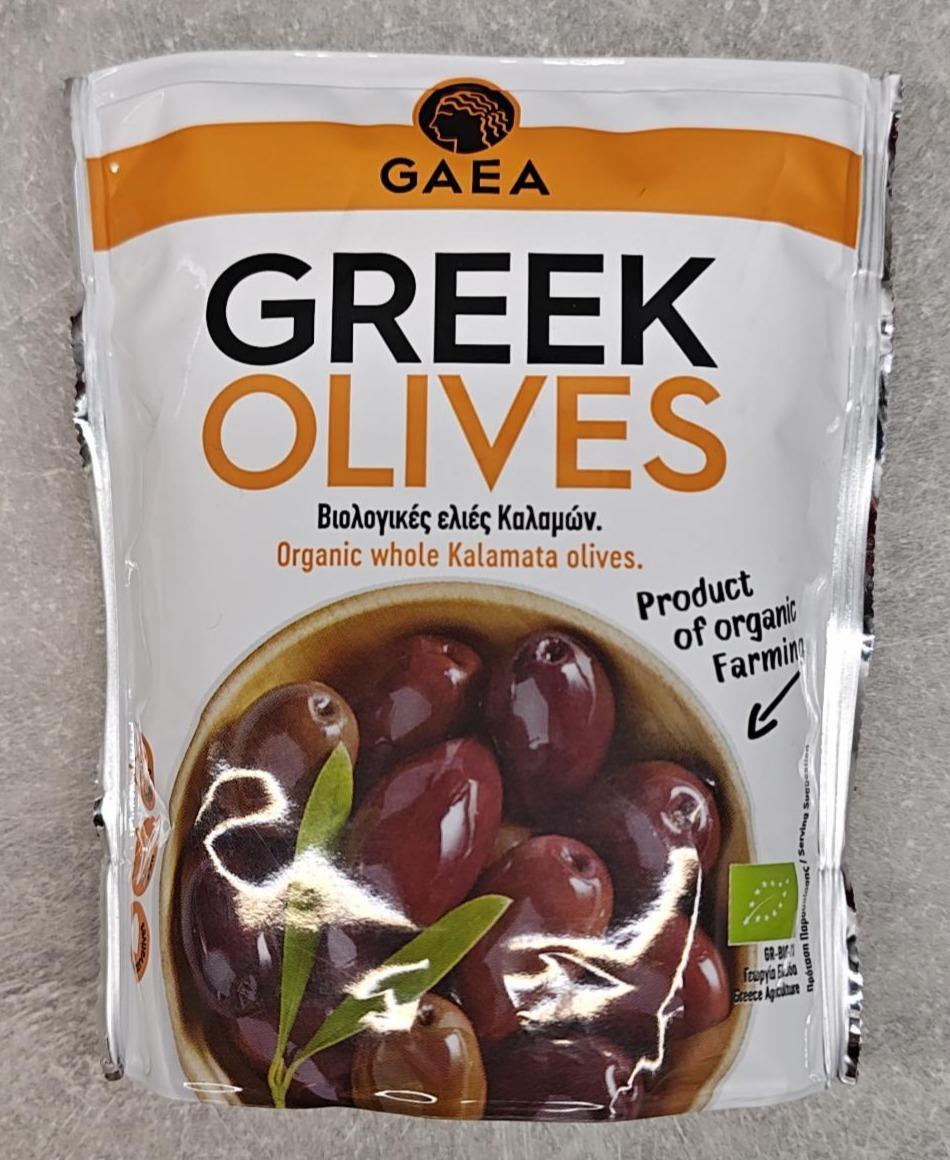 Fotografie - Greek Olives Gaea