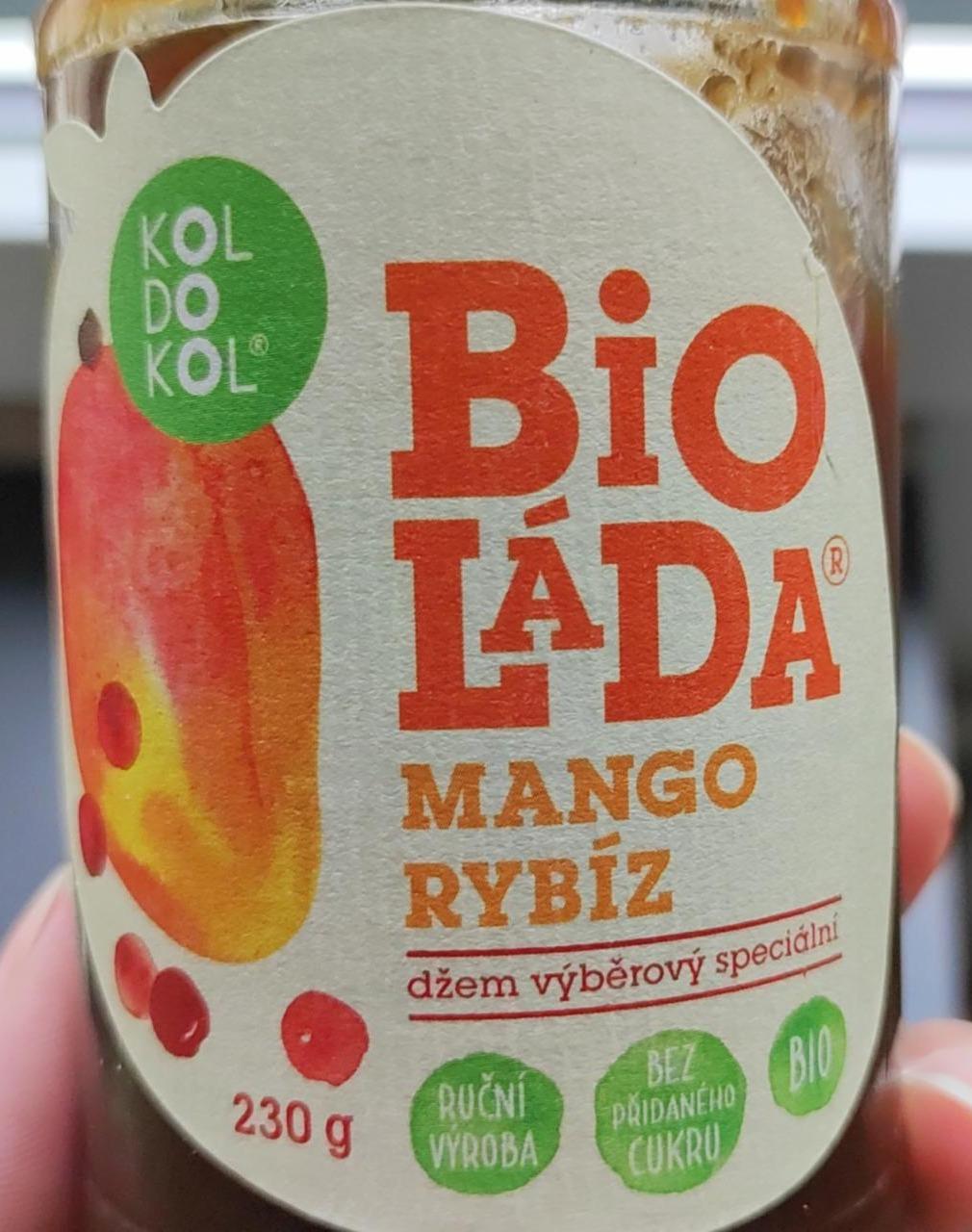 Fotografie - Bioláda mango rybíz Koldokol