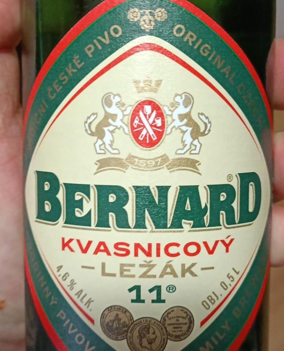 Fotografie - Kvasnicový ležák 11° Bernard