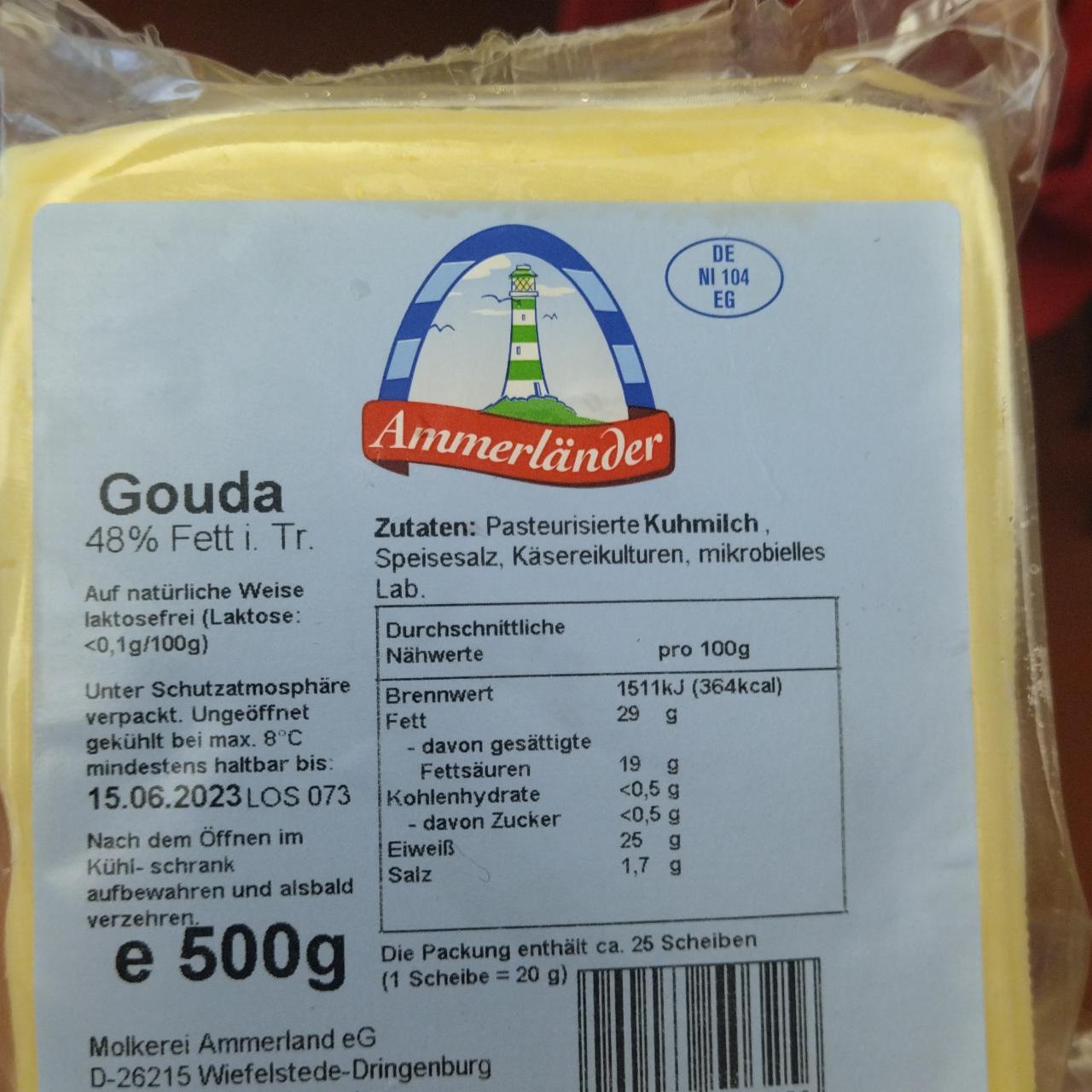 Fotografie - Gouda Ammerländer