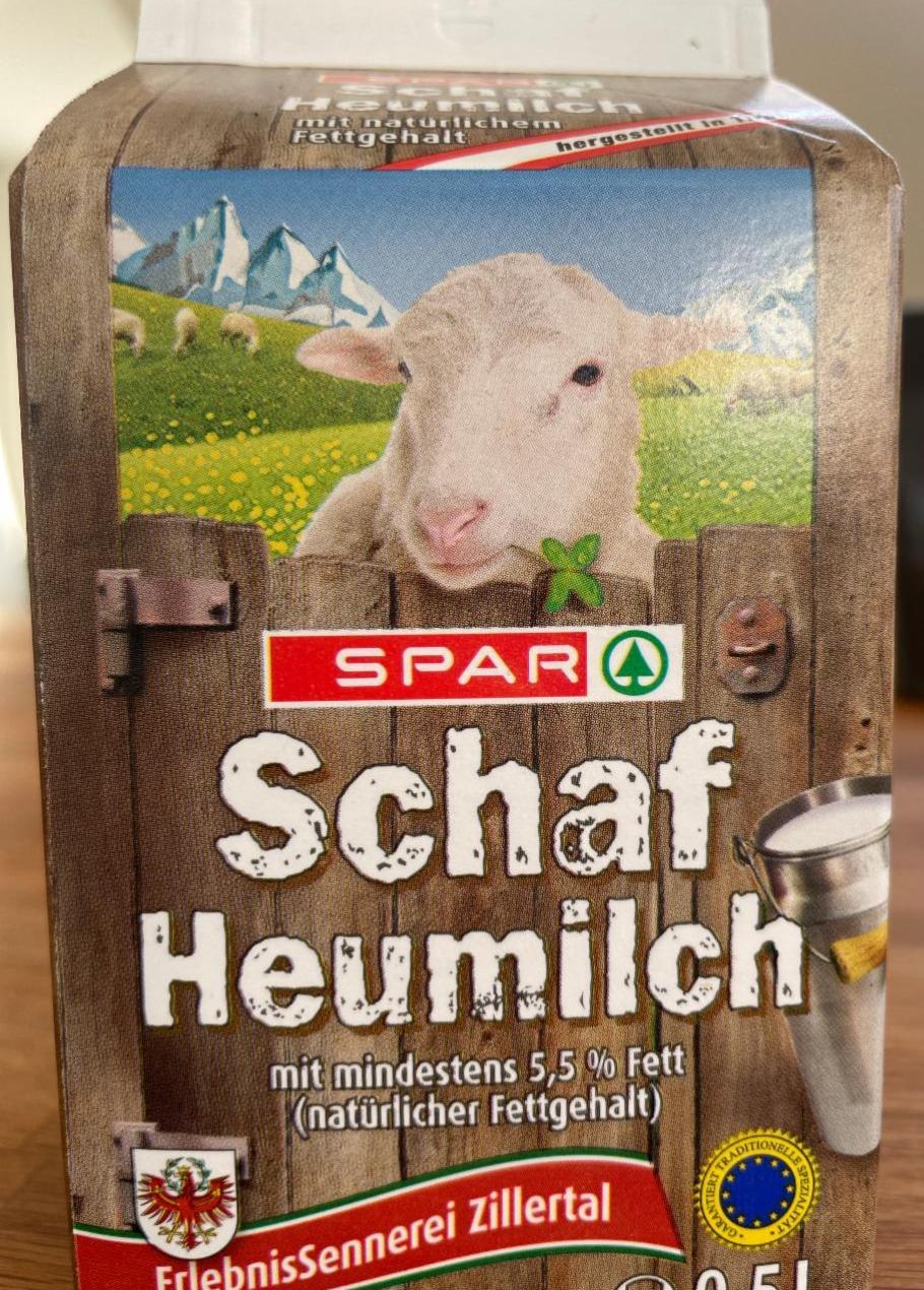 Fotografie - Schaf Heumilch Spar