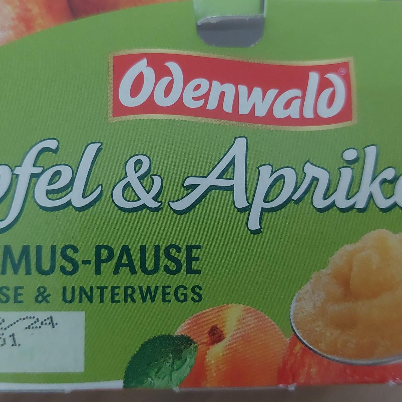 Fotografie - Fruchtmus-pause apfel & aprikose Odenwald