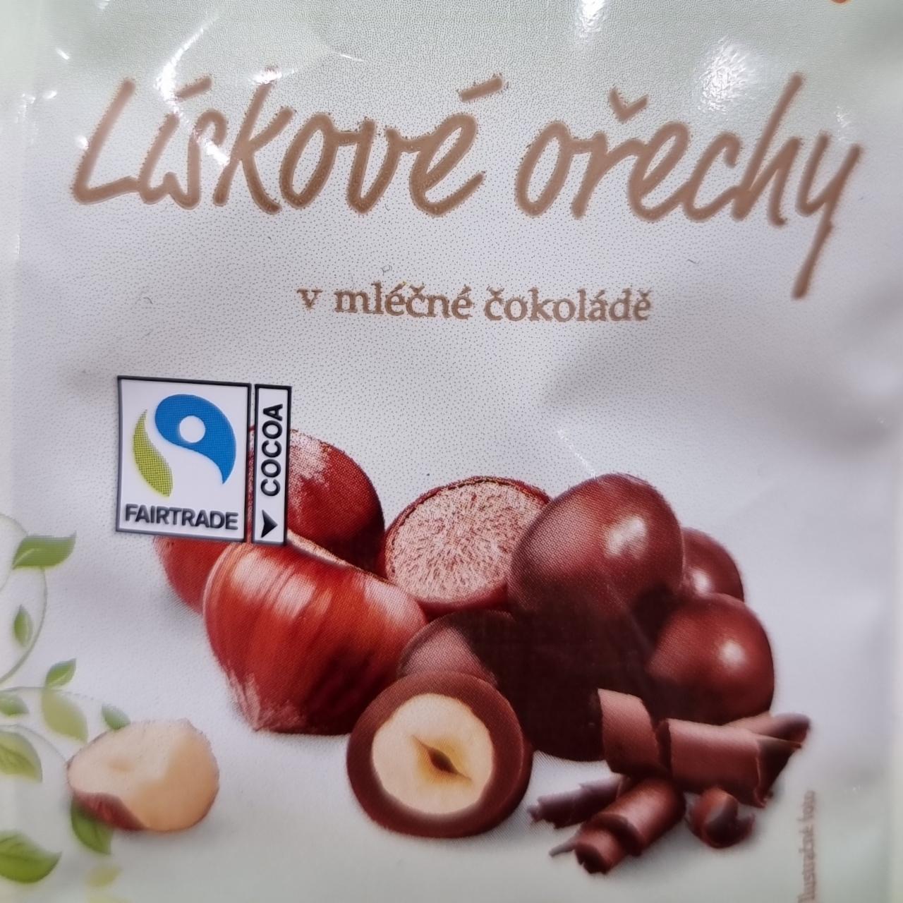 Fotografie - Lískové ořechy v mléčné čokoládě Favorina