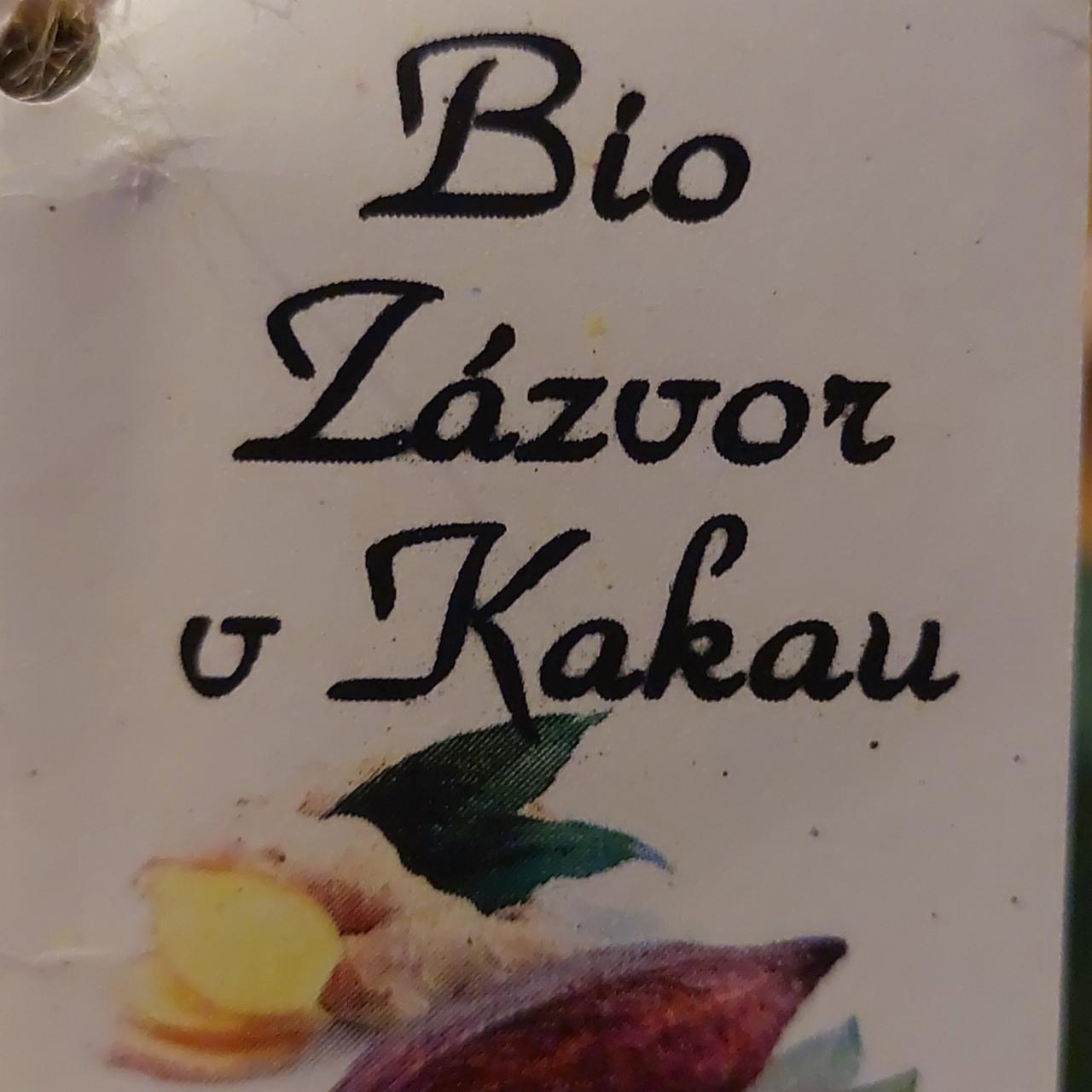 Fotografie - Bio zázvor v kakau Dr. Hlaváč