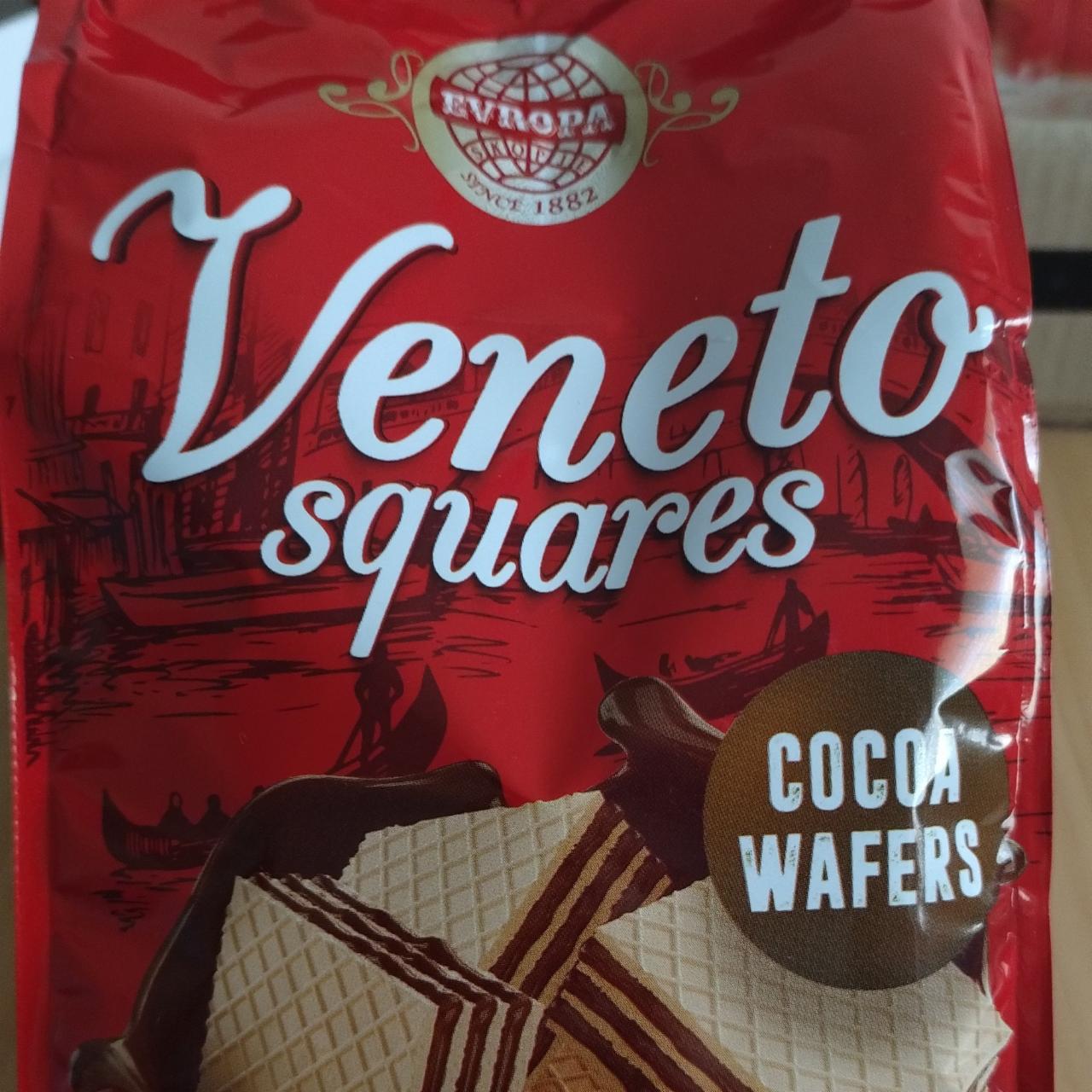 Fotografie - Cocoa Wafers Veneto squares