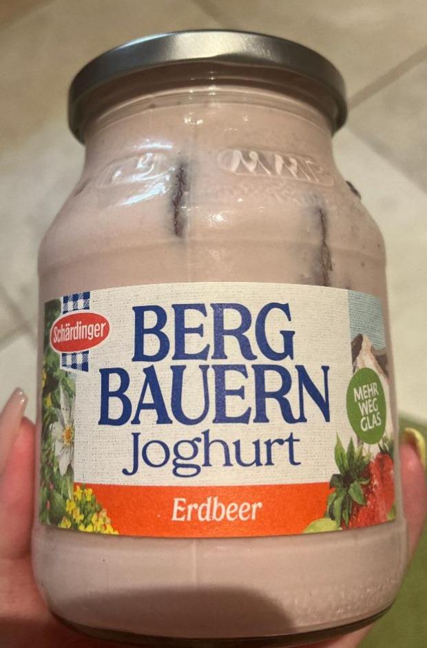 Fotografie - Berg Bauern Joghurt Erdbeer Schärdinger