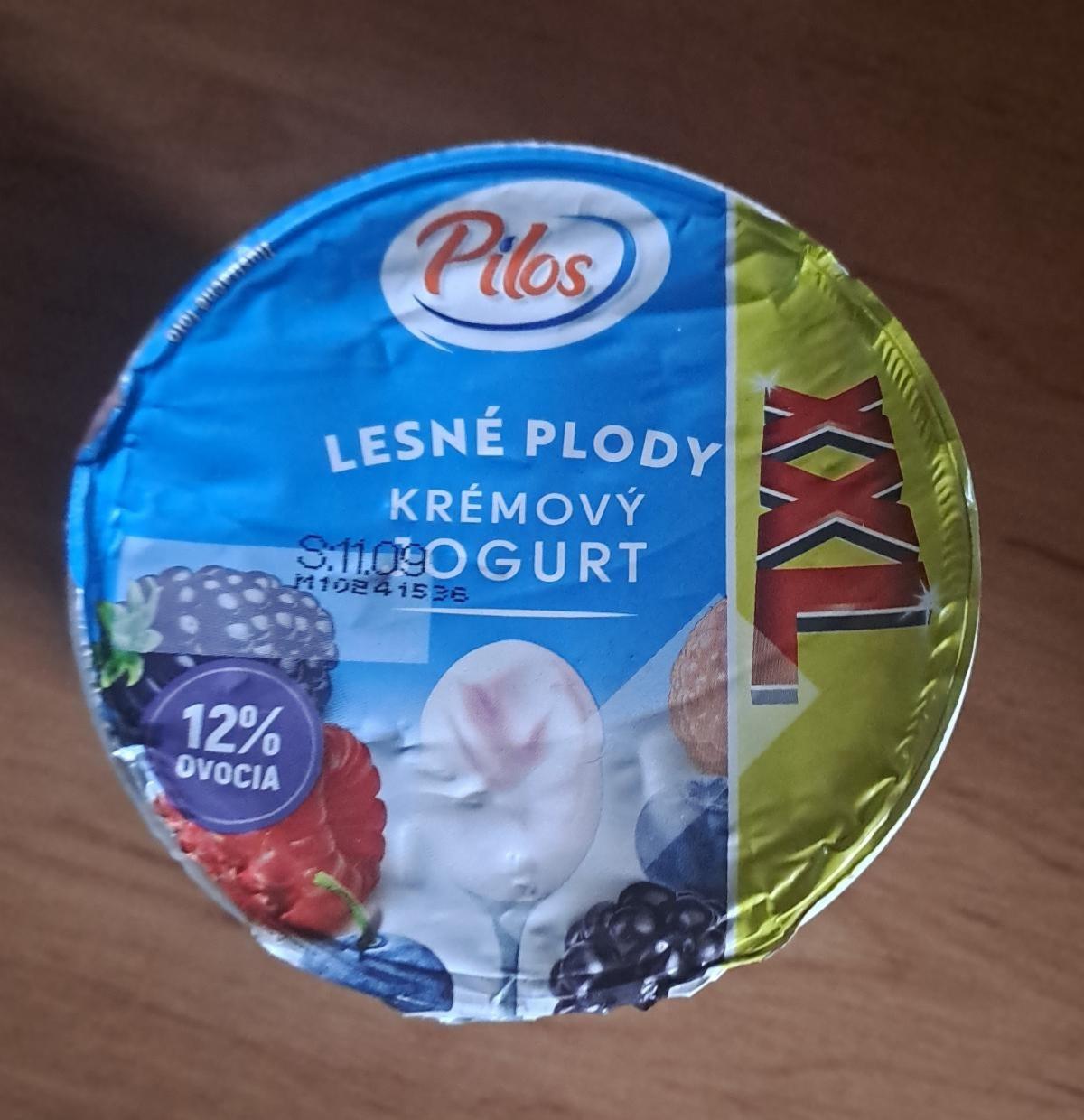 Fotografie - Lesné plody Krémový jogurt Pilos