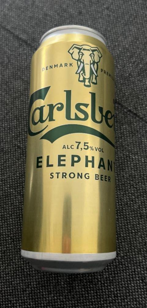 Fotografie - Elephant Strong Beer Carlsberg