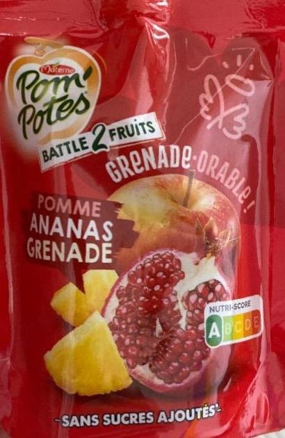 Fotografie - Pom' Potes pomme ananas grenade Materne