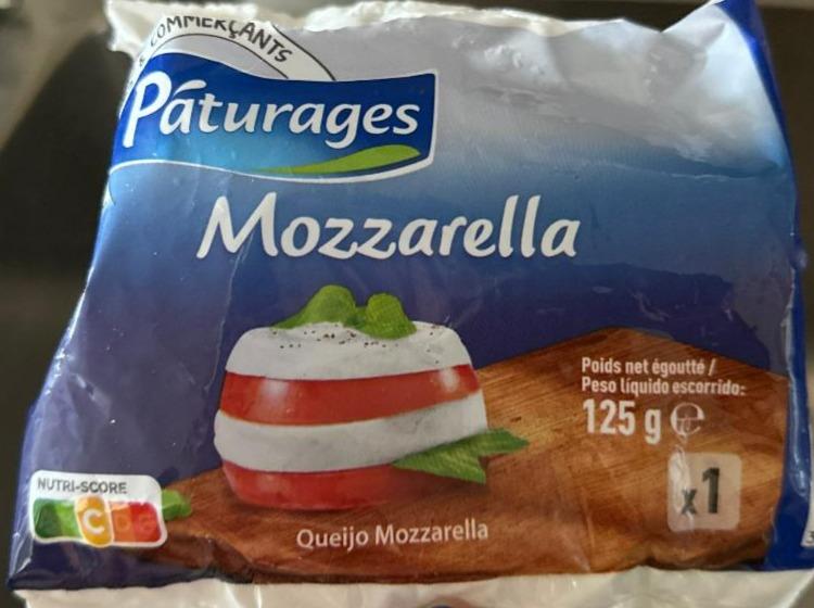 Fotografie - Mozzarella Páturages