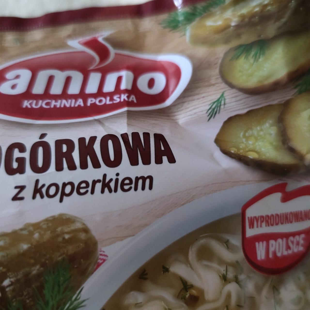 Fotografie - Ogórkowa z kopierkem Amino