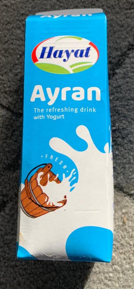 Fotografie - Ayran Hayat