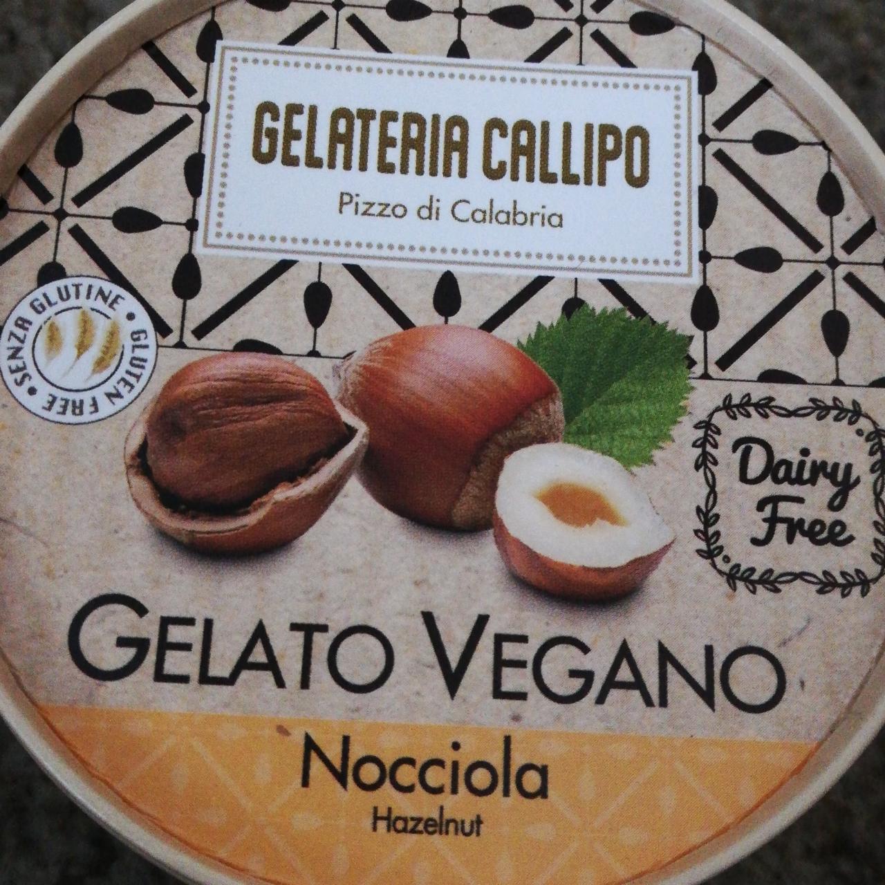 Fotografie - Gelato Vegano Nocciola Gelateria Callipo