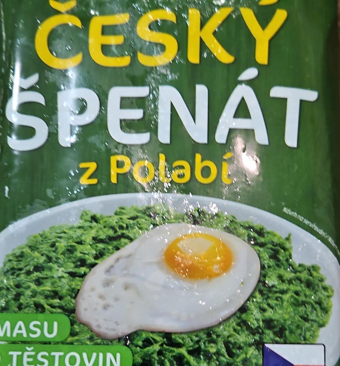 Fotografie - Český špenát z Polabí