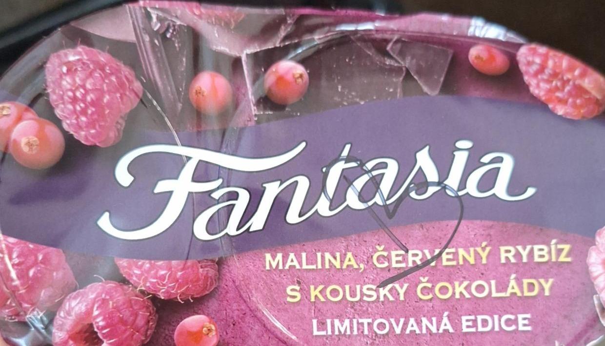 Fotografie - Fantasia Malina, červený rybíz s kousky čokolády