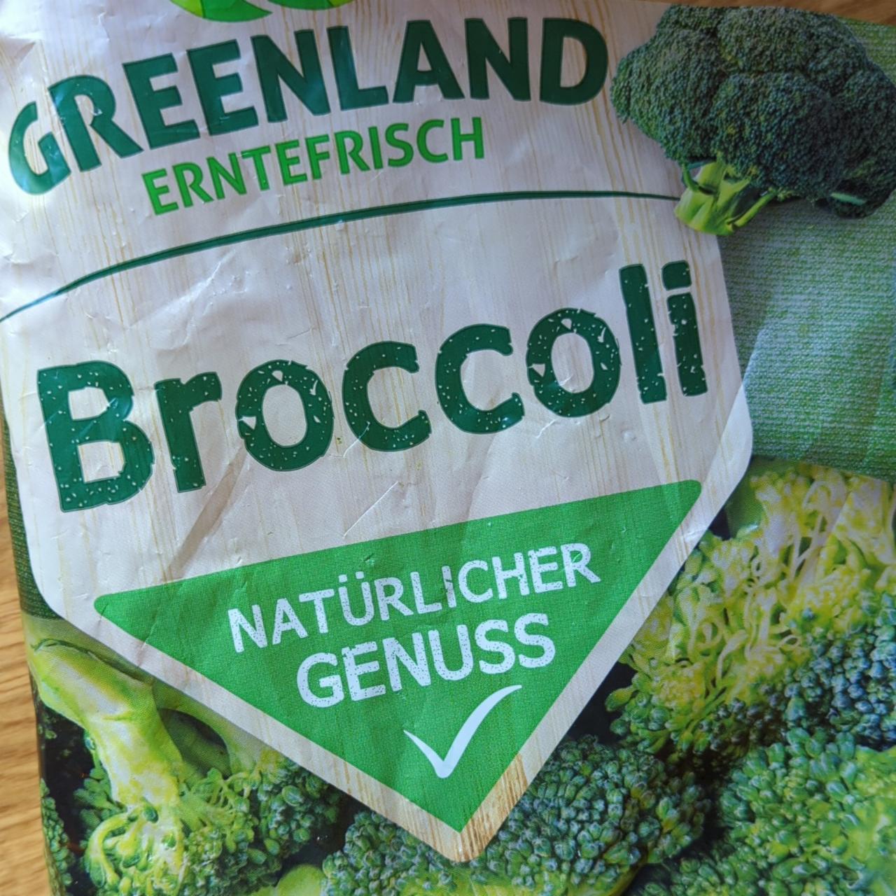 Fotografie - Broccoli Erntefrisch Greenland