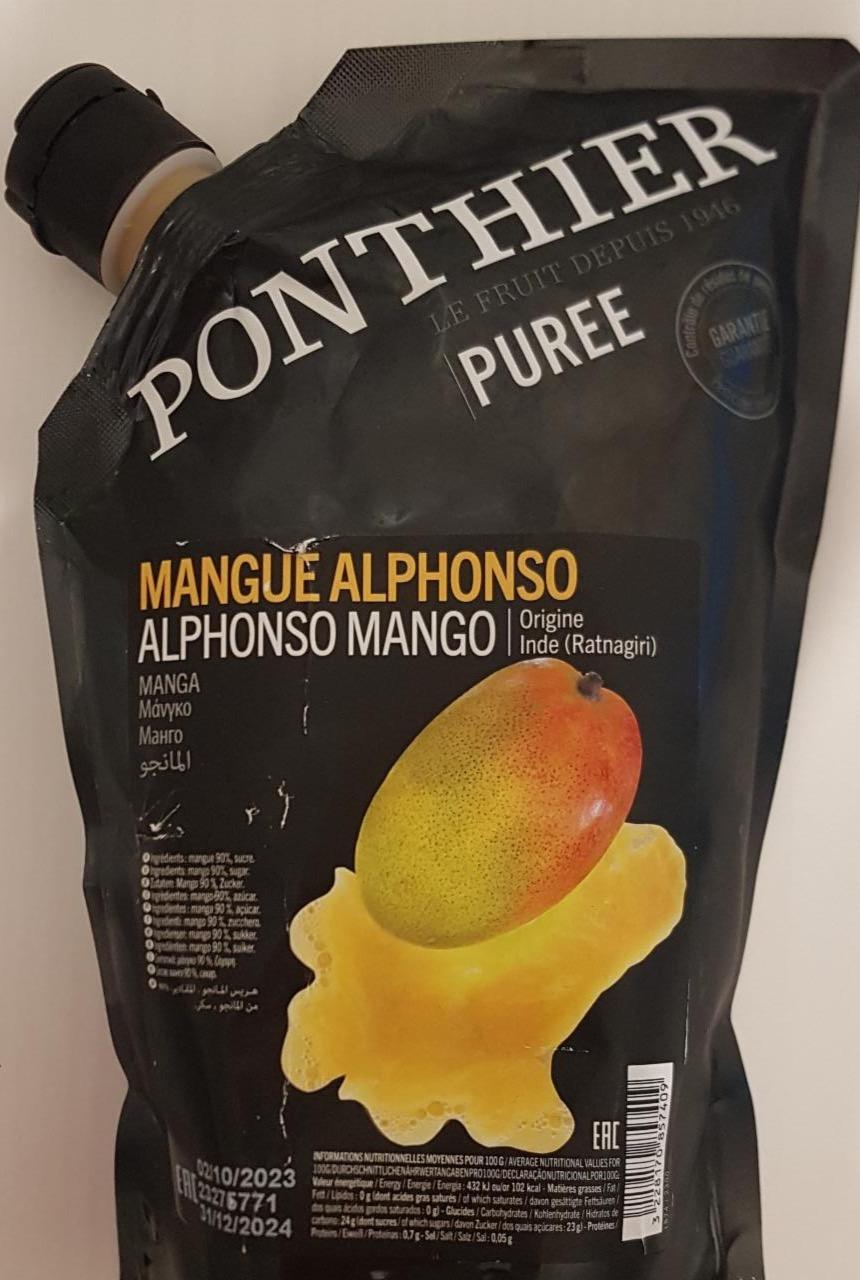 Fotografie - Puree mangue alphonso Ponthier