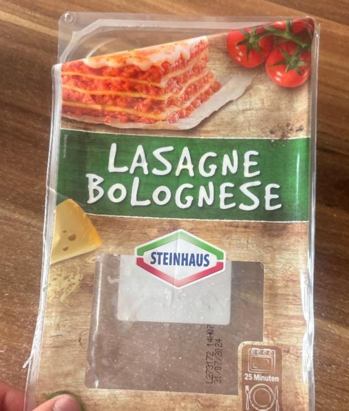 Fotografie - Lasagne Bolognese Steinhaus