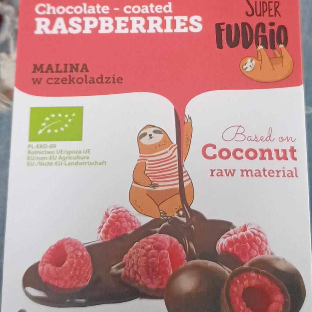 Fotografie - Chocolate - coated Raspberries Super Fudgio