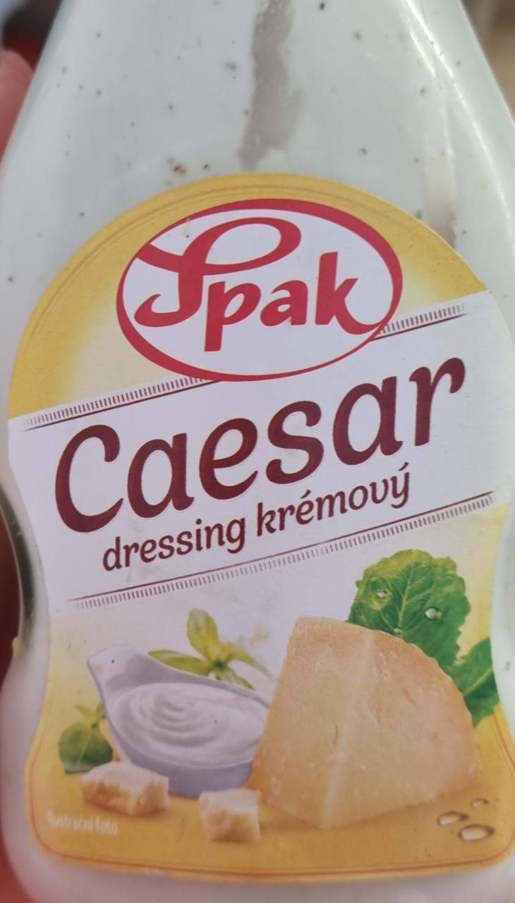 Fotografie - Caesar dressing Spak