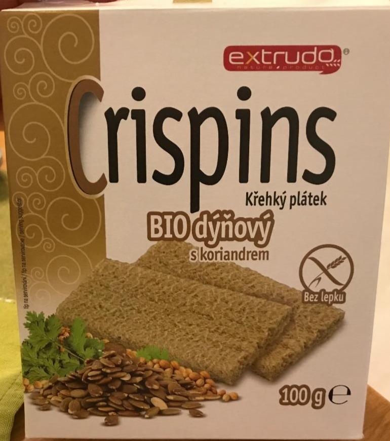 Fotografie - Crispins křehký plátek dýňový s koriandrem Extrudo