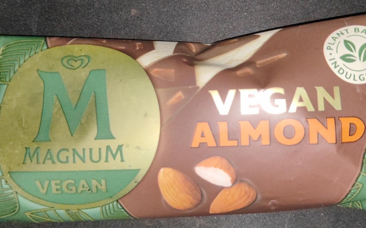 Fotografie - Vegan Almond Magnum