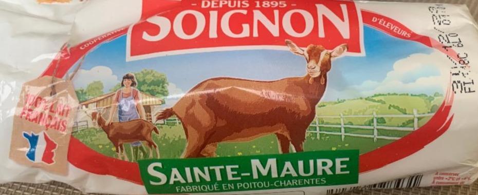 Fotografie - Sainte Maure Soignon