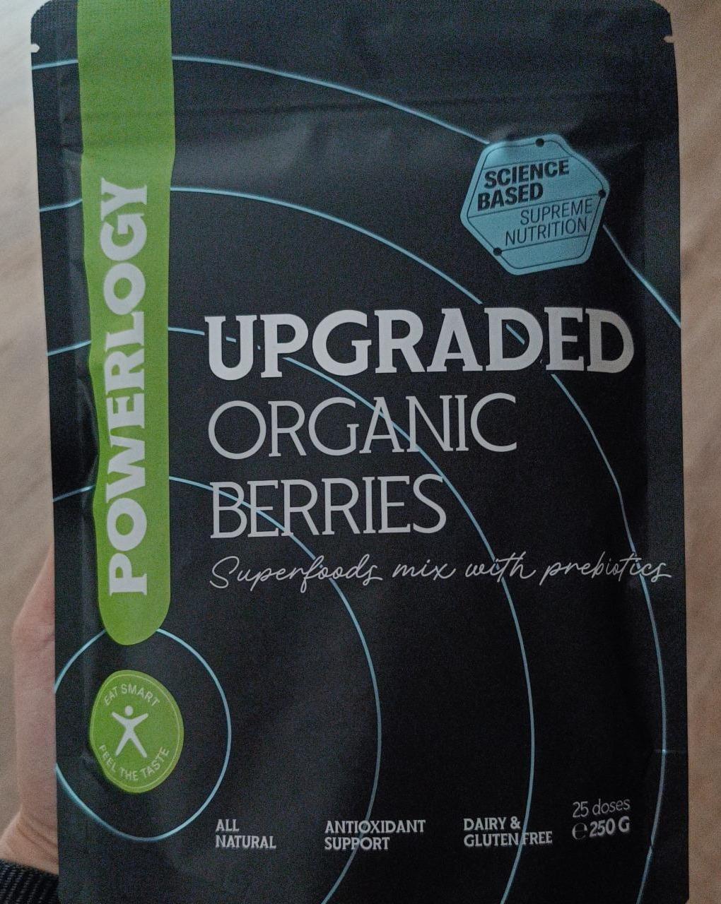 Fotografie - Upgraded Organic Berries Powerlogy