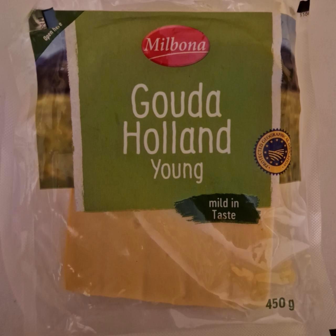 Fotografie - Gouda Holland Young Milbona