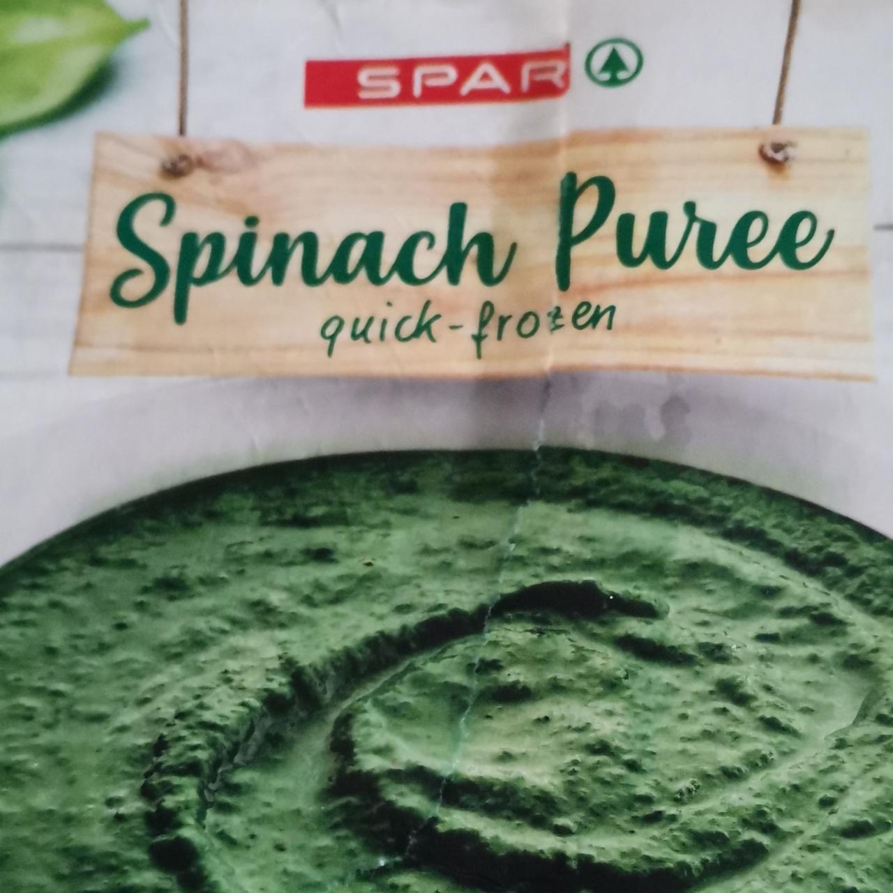 Fotografie - Spinach Puree Spar