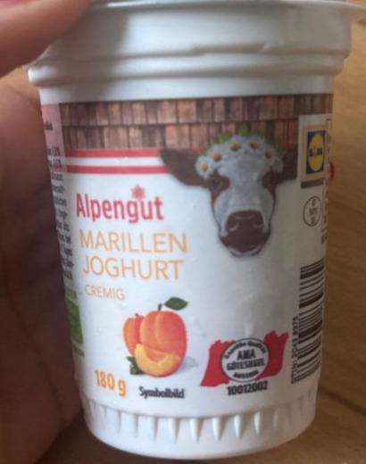 Fotografie - Marillen joghurt cremig Alpengut