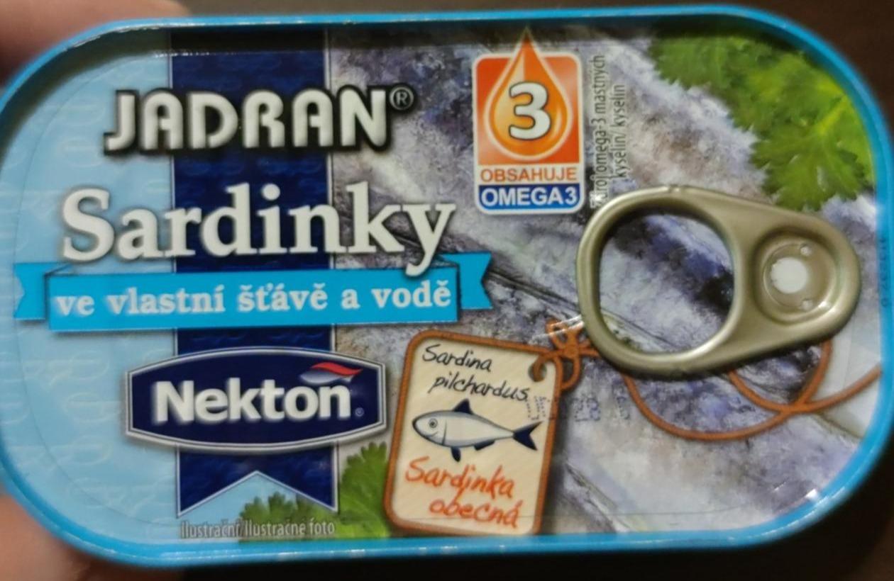 Fotografie - Jadran Sardinky ve vlastní šťávě a vodě Nekton