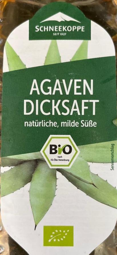 Fotografie - Agaven Dicksaft Schneekoppe