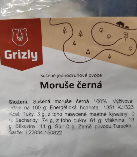 Fotografie - Moruša čierna Grizzly