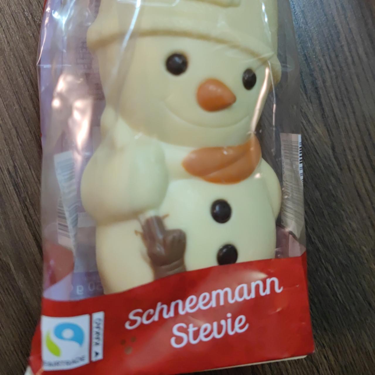 Fotografie - Schneemann Stevie K-Winter Edition