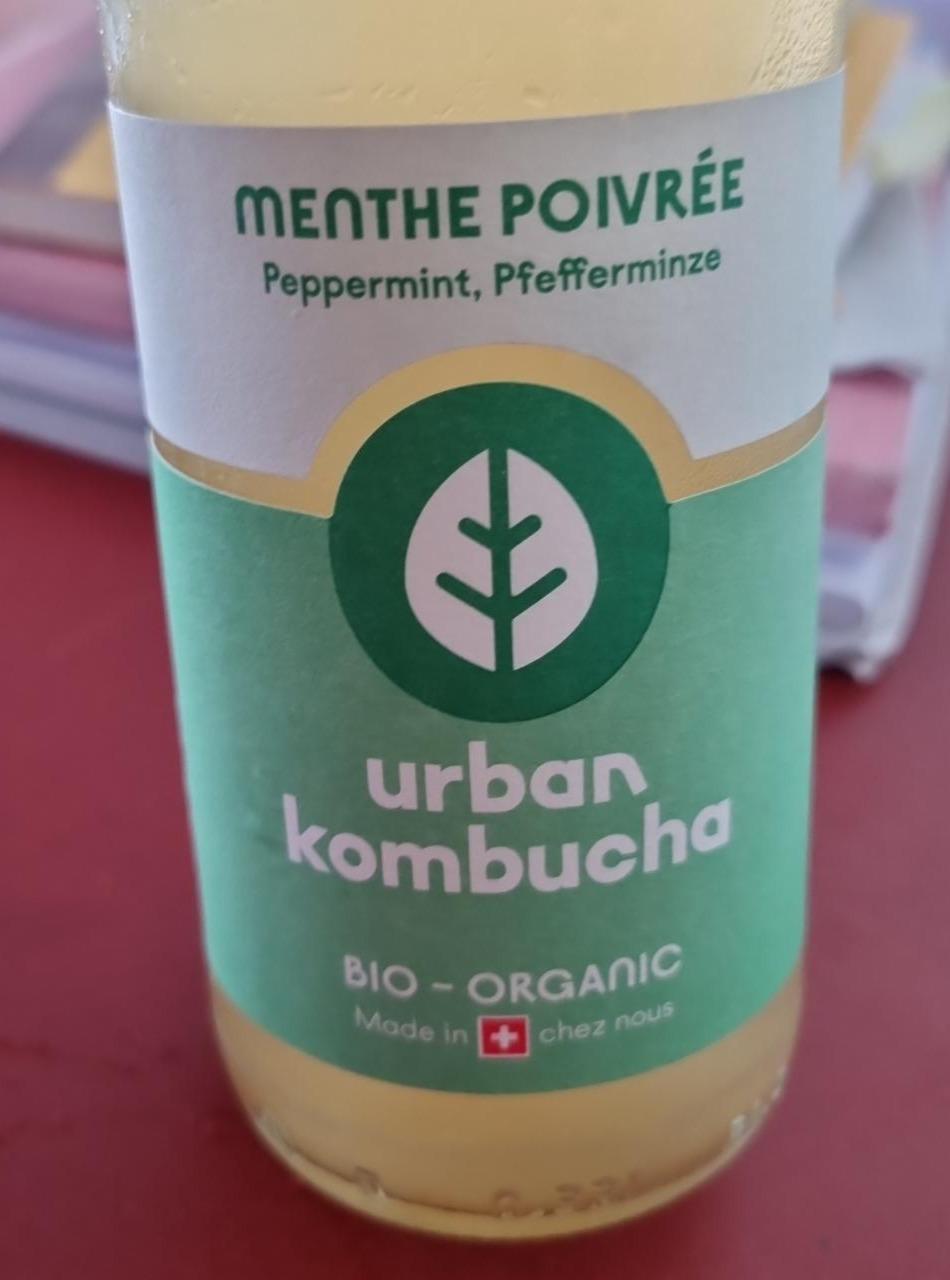 Fotografie - Urban Kombucha Peppermint Menthe Poivrée