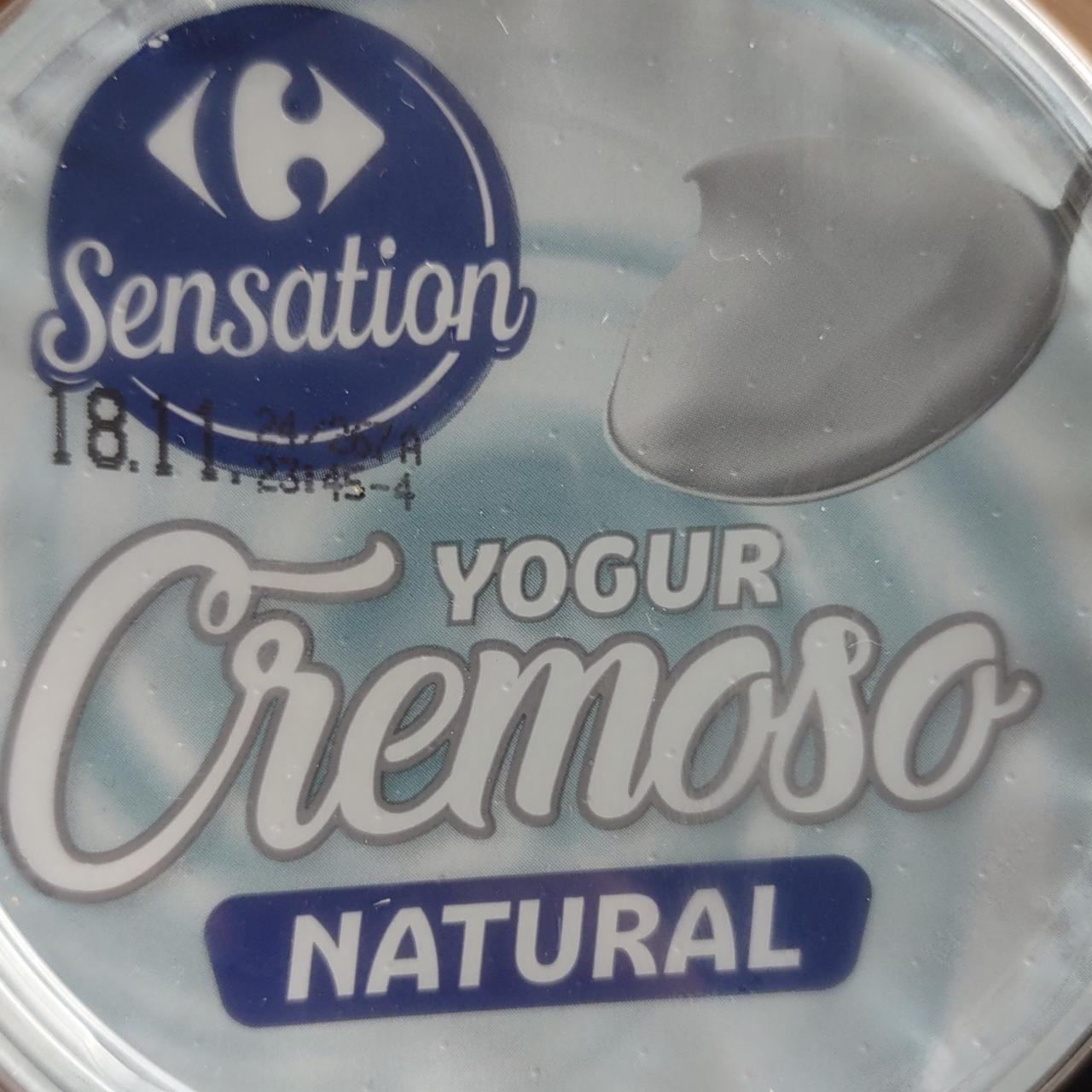 Fotografie - Yogur cremoso natural Sensation