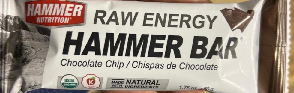 Fotografie - Raw energy bar chocolate chips Hammer Nutrition