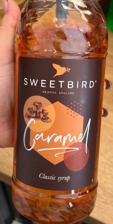 Fotografie - Caramel Classic syrup Sweetbird