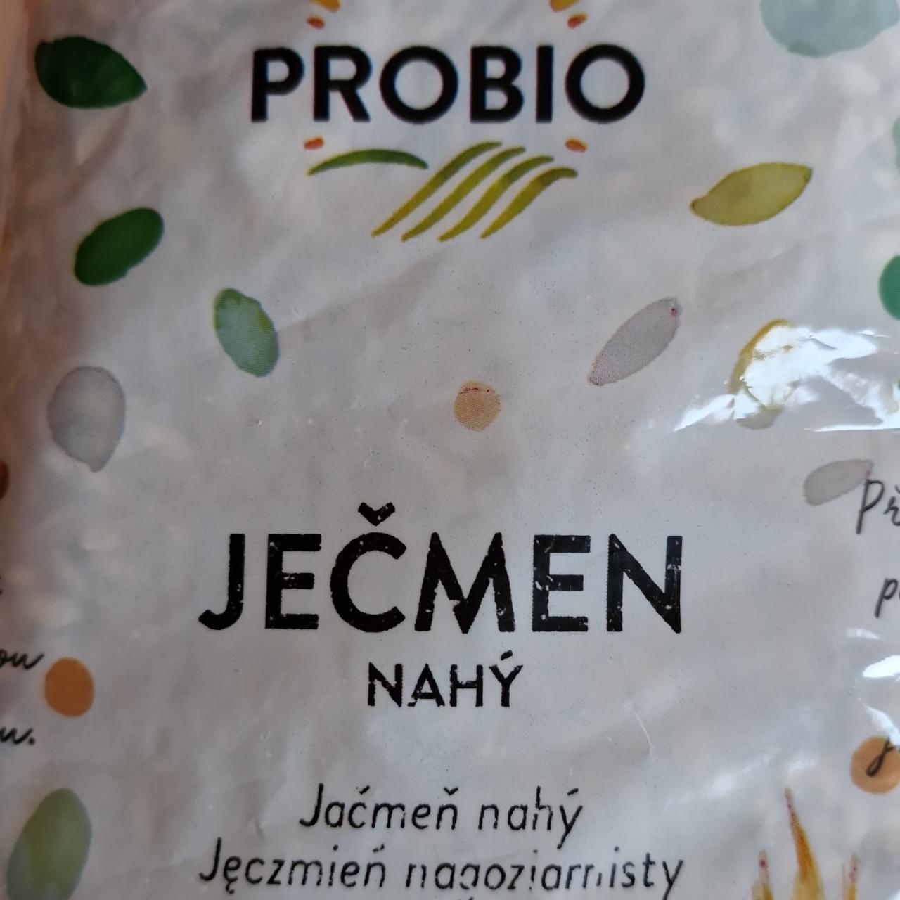 Fotografie - Jačmen nahý Probio