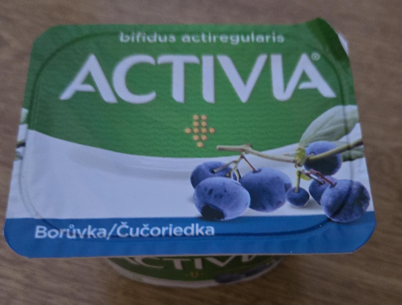 Fotografie - Activia jogurt Čučoriedka Danone